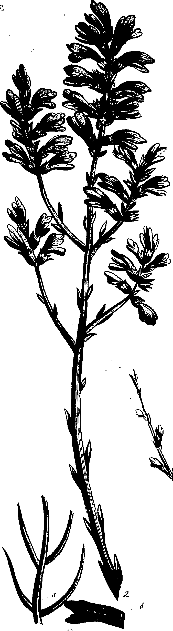 099/099320011801140_0.png
