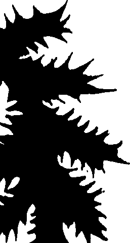 099/099320011801180_0.png