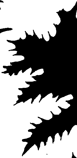 099/099320011801180_1.png