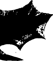099/099320011801190_1.png