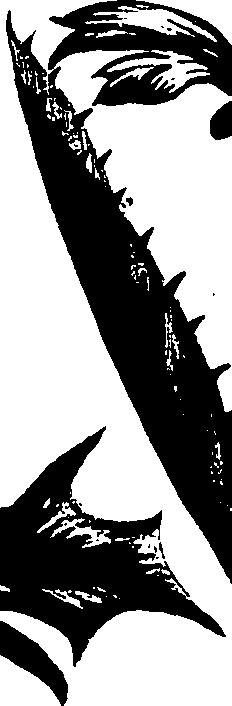 099/099320011801190_2.png
