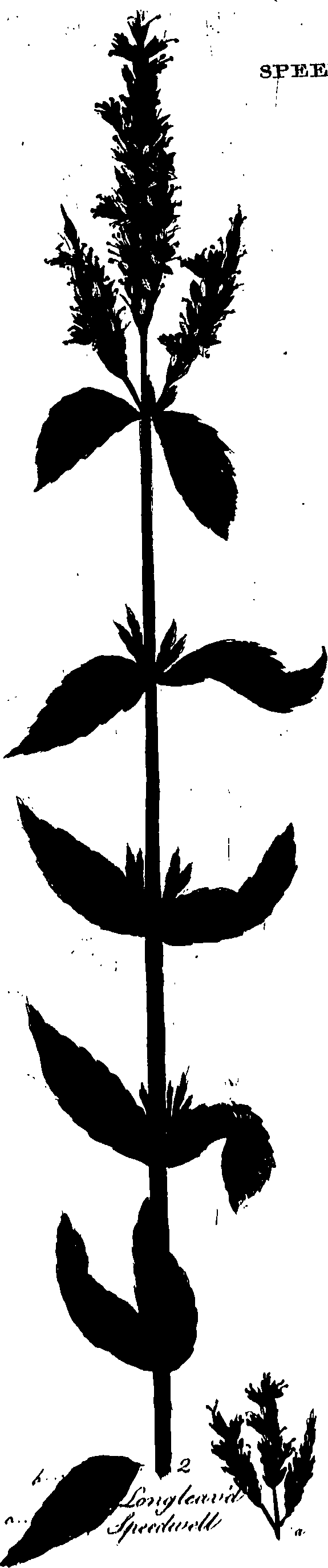 099/099320011801210_0.png