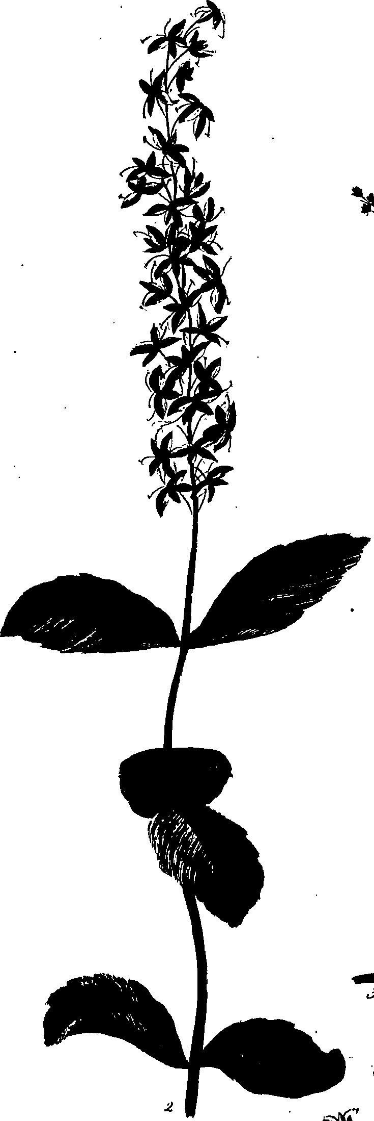 099/099320011801220_2.png