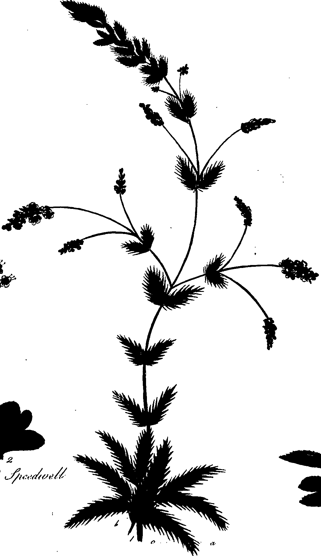 099/099320011801230_0.png