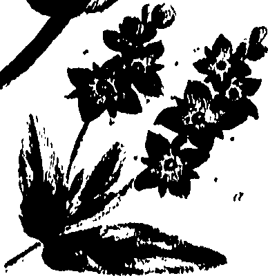 099/099320011900660_0.png