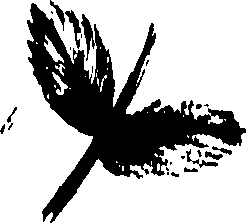 099/099320011900660_1.png
