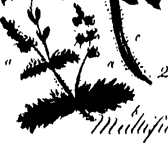 099/099320011900680_0.png