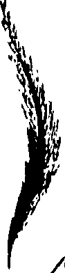 099/099320011900690_0.png