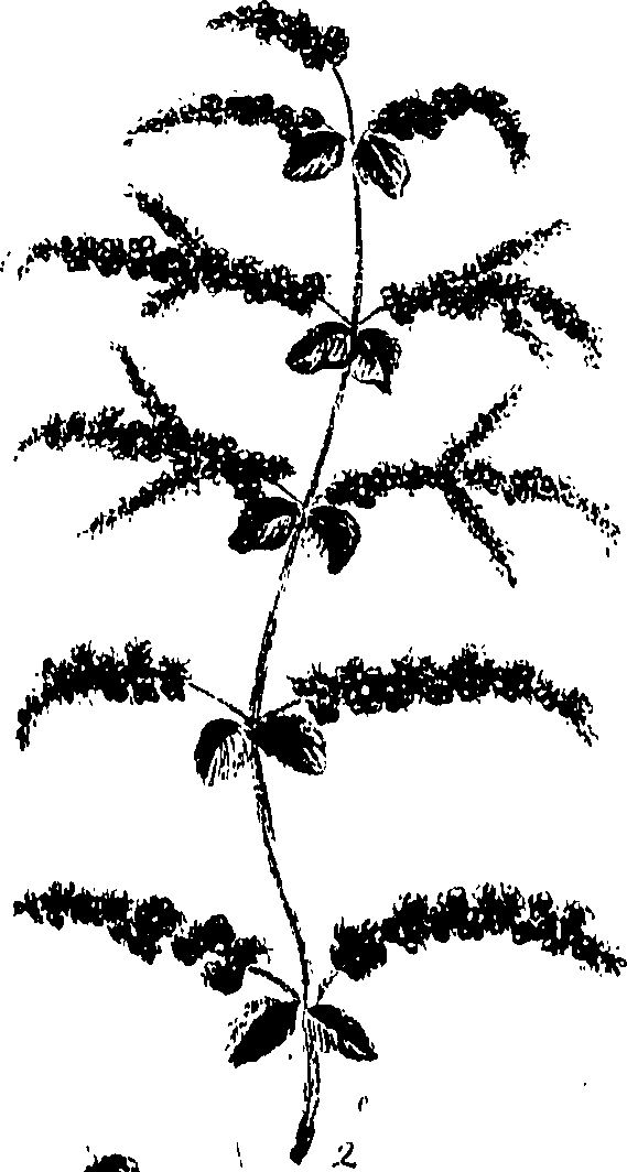099/099320011900690_1.png
