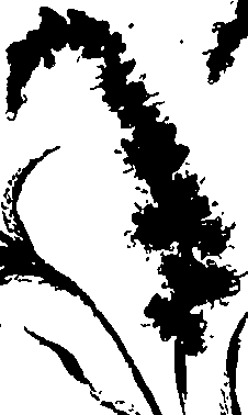 099/099320011900690_2.png