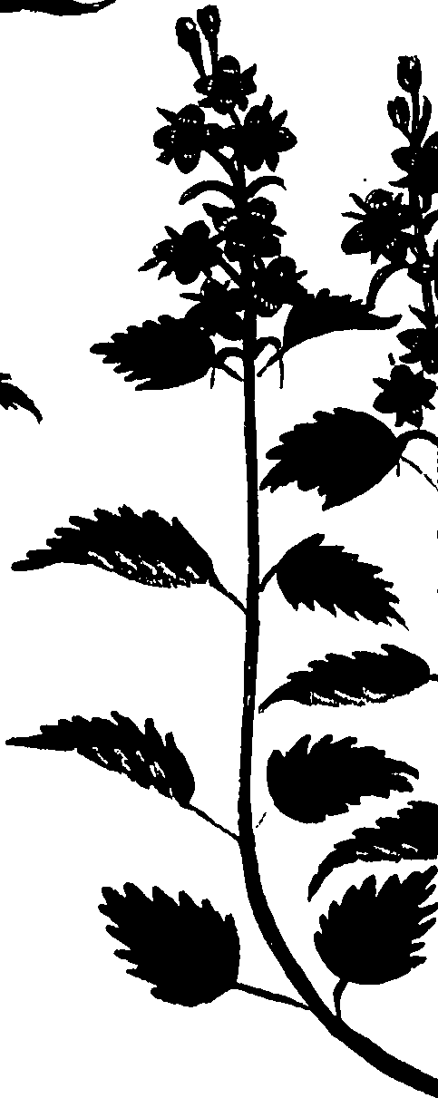 099/099320011900720_0.png