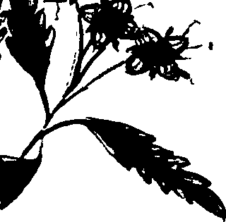 099/099320011900720_1.png