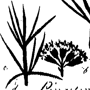 099/099320011900730_0.png
