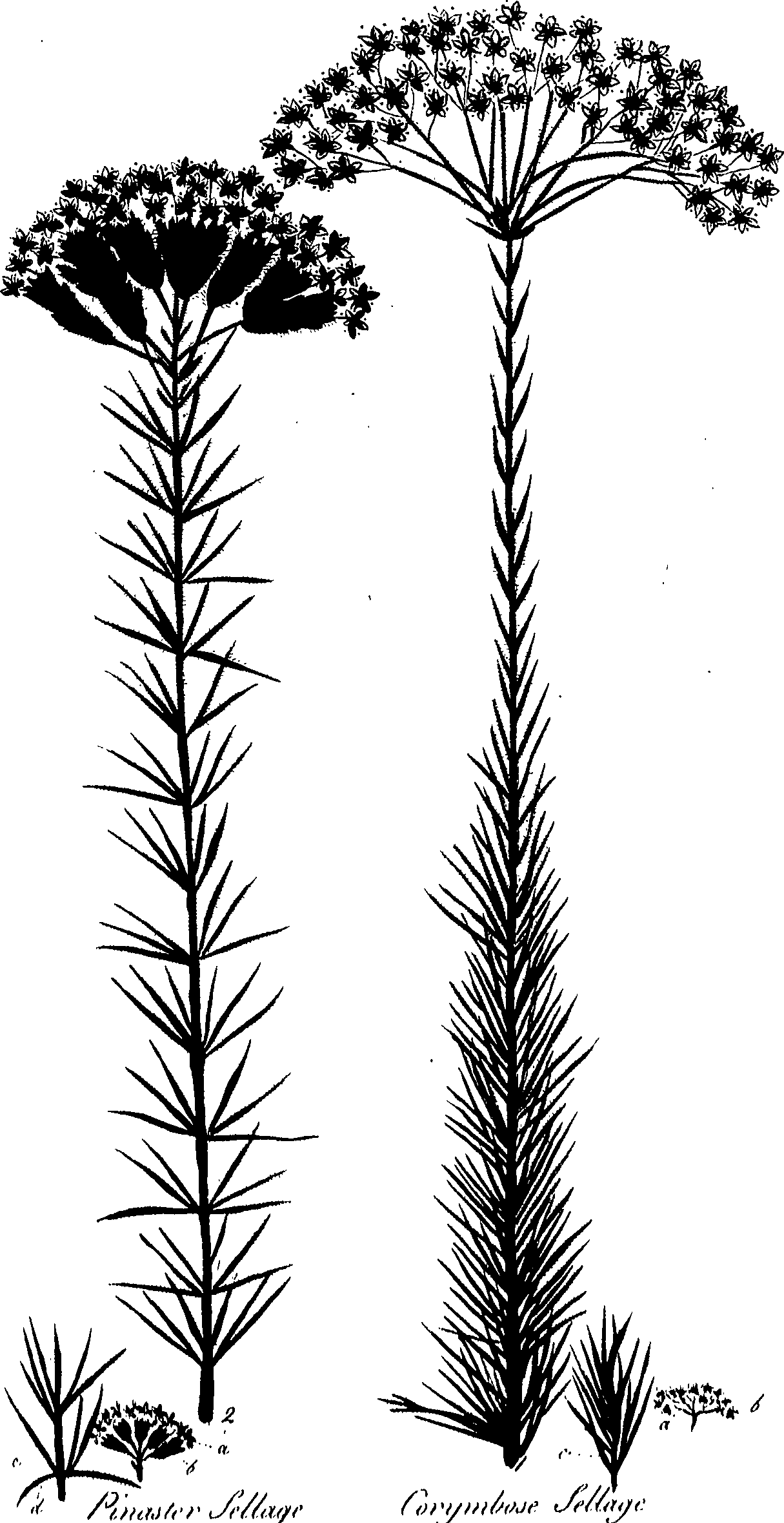 099/099320011900730_1.png