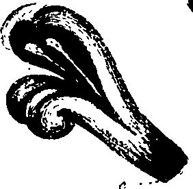 099/099320011900760_0.png