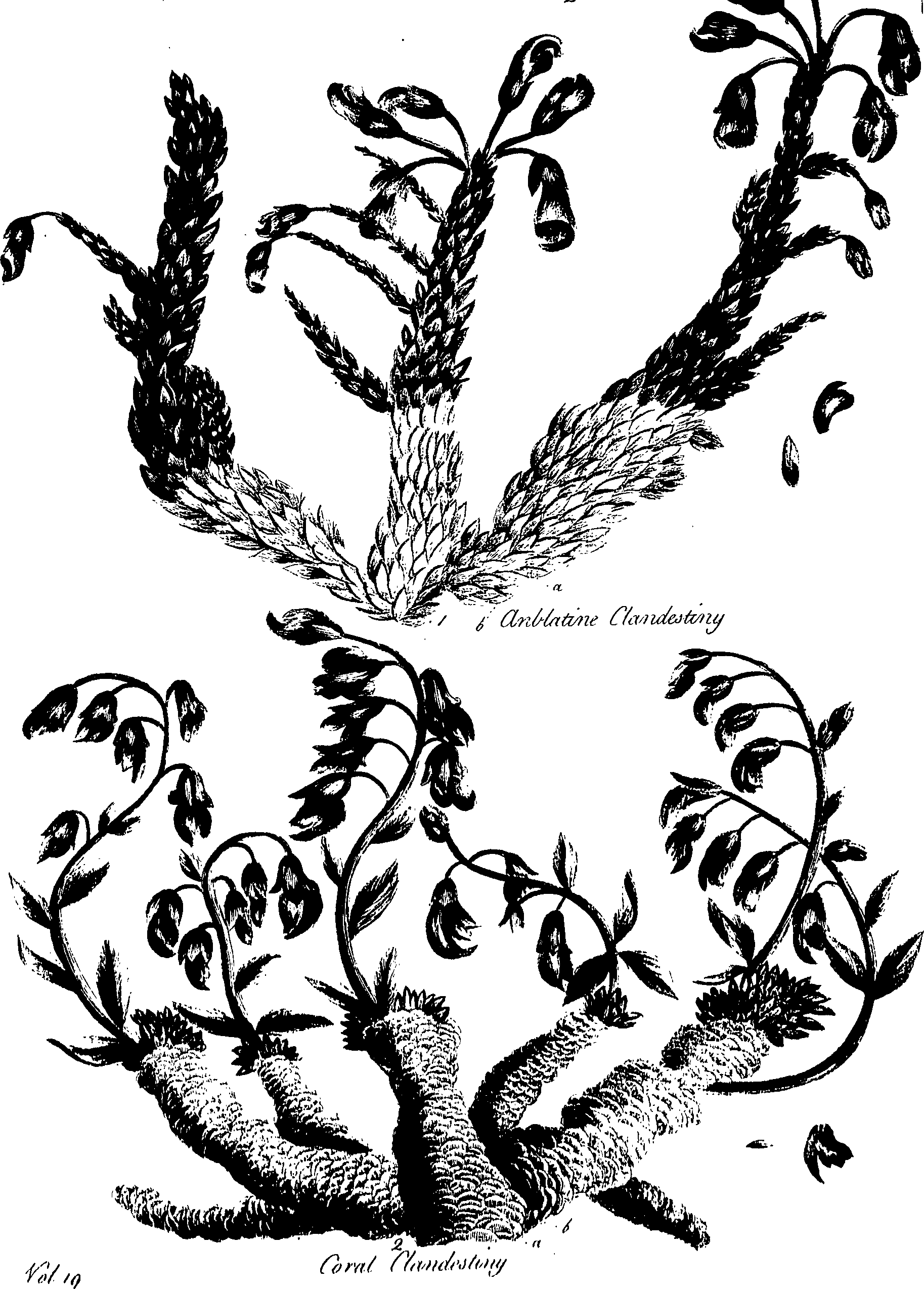 099/099320011900770_0.png