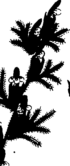099/099320011900780_1.png