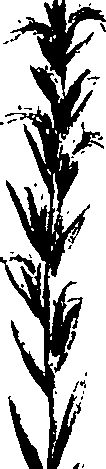 099/099320011900810_0.png