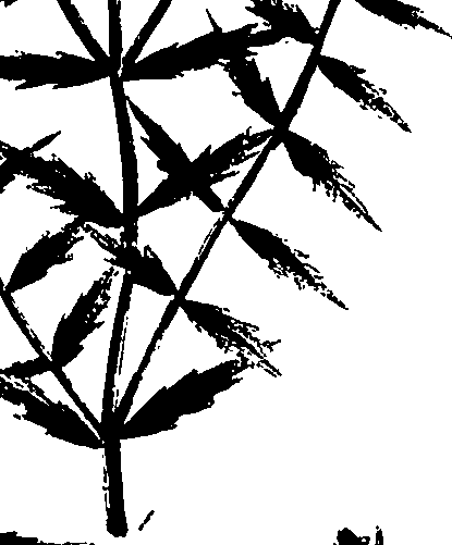 099/099320011900810_1.png