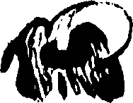 099/099320011900830_0.png