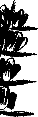 099/099320011900840_1.png