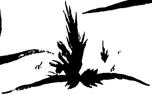 099/099320011900850_0.png
