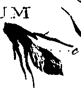 099/099320011900850_1.png