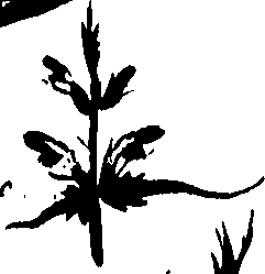 099/099320011900860_1.png