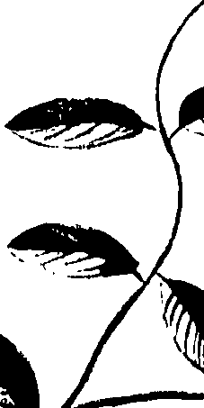 099/099320011900920_0.png