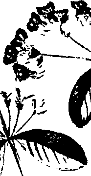 099/099320011900920_1.png