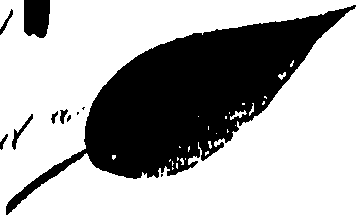 099/099320011900930_0.png