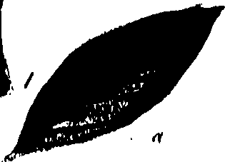 099/099320011900950_0.png