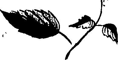 099/099320011901000_0.png