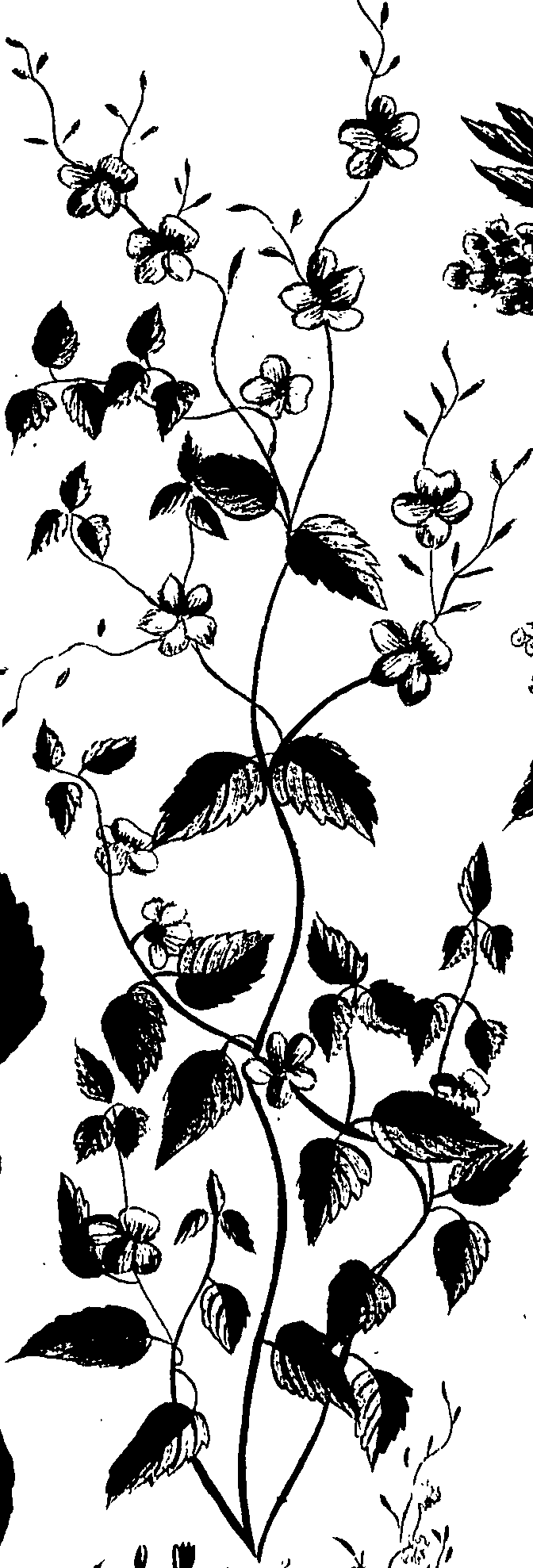 099/099320011901000_1.png