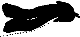 099/099320011901060_1.png