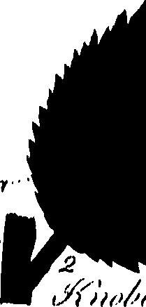 099/099320011901070_0.png