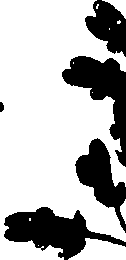 099/099320011901070_2.png