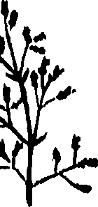 099/099320011901080_0.png