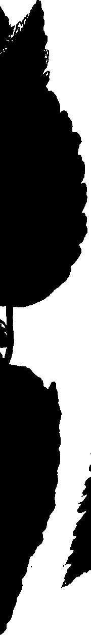 099/099320011901080_1.png
