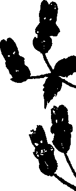 099/099320011901080_2.png
