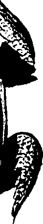 099/099320011901110_0.png