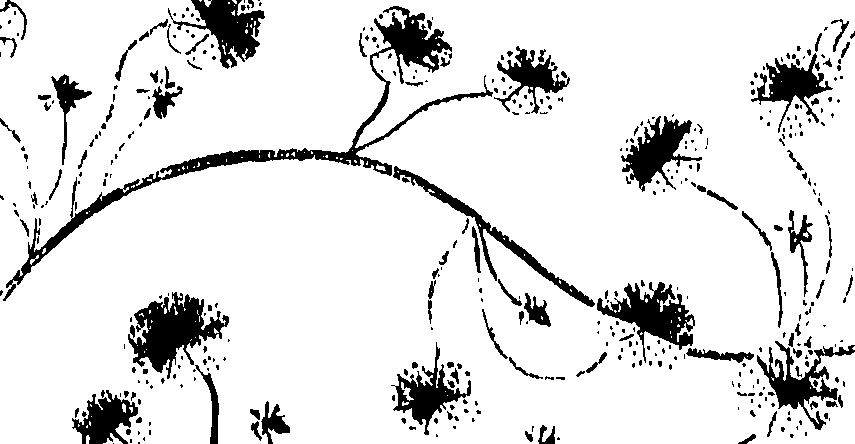099/099320011901140_0.png