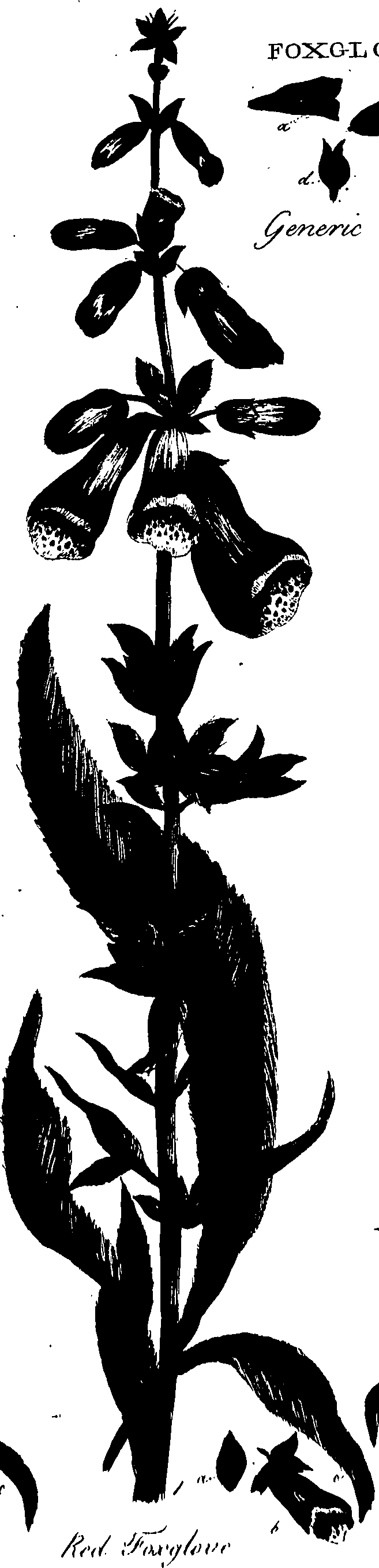 099/099320011901160_0.png