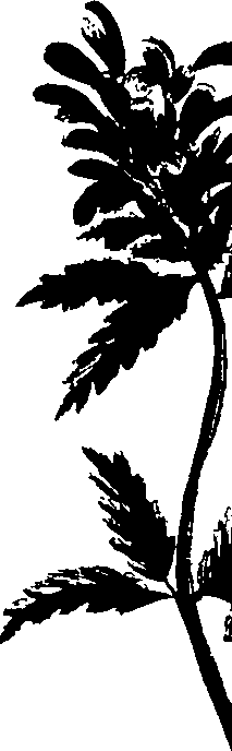 099/099320011901190_0.png