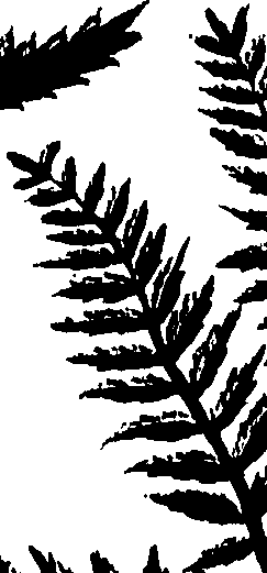 099/099320011901210_0.png