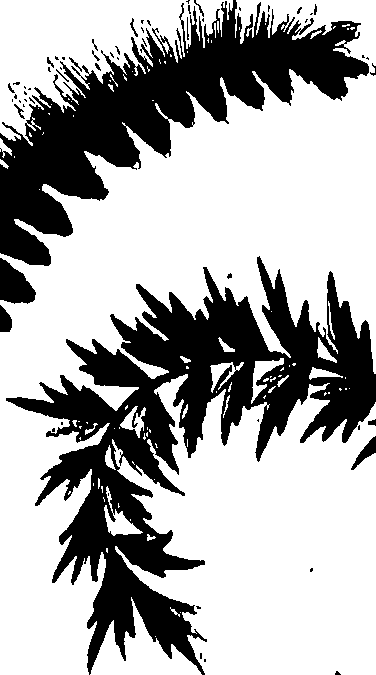 099/099320011901230_0.png