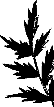 099/099320011901230_1.png