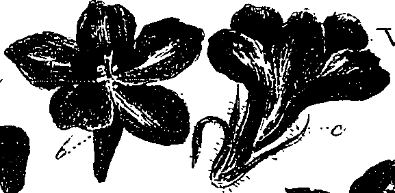 099/099330012000640_1.png