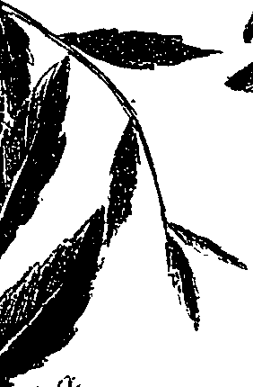 099/099330012000700_0.png