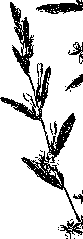 099/099330012000700_2.png